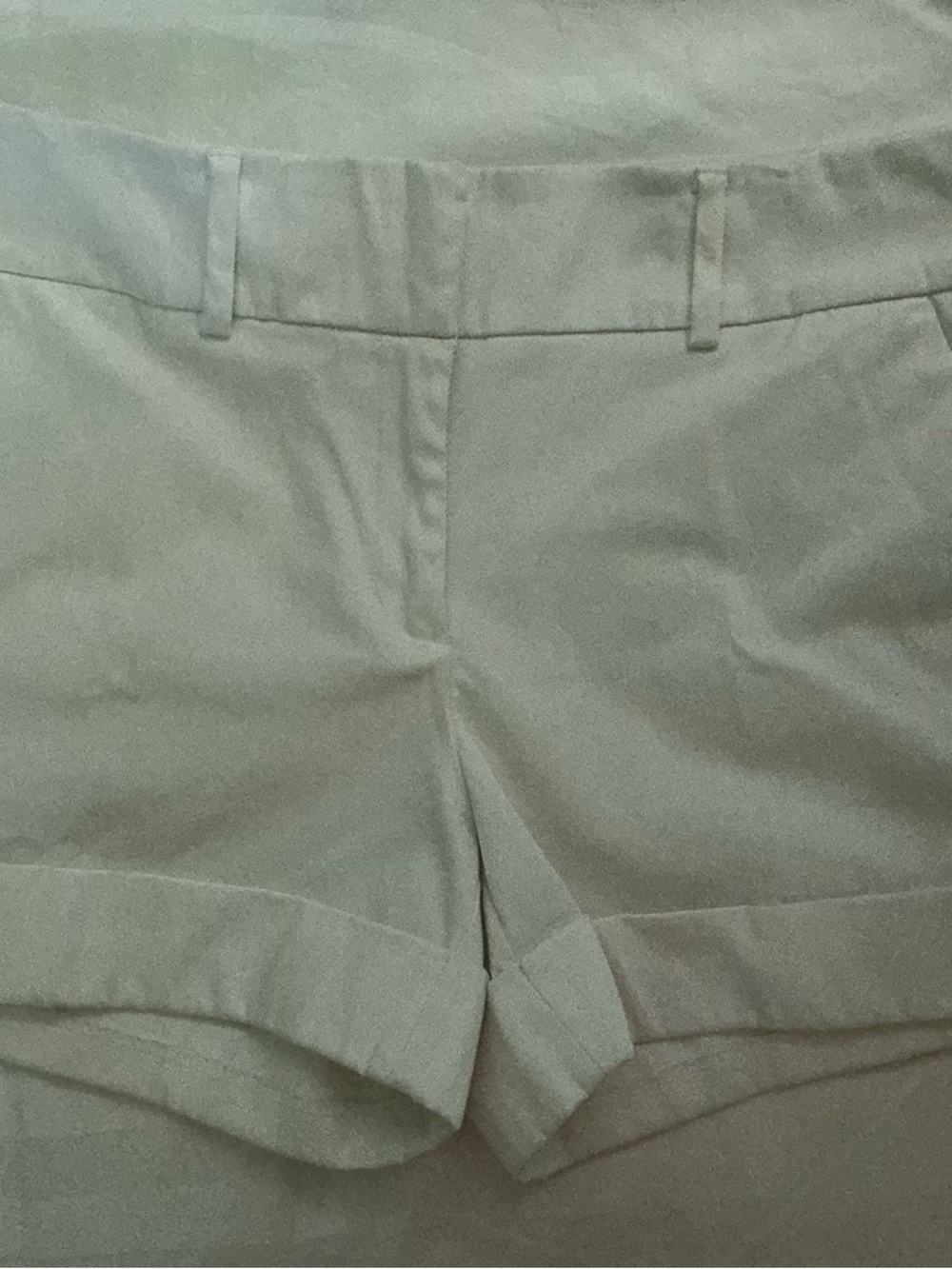 New York & Company Tailored Cuffed Women's Shorts in Beige